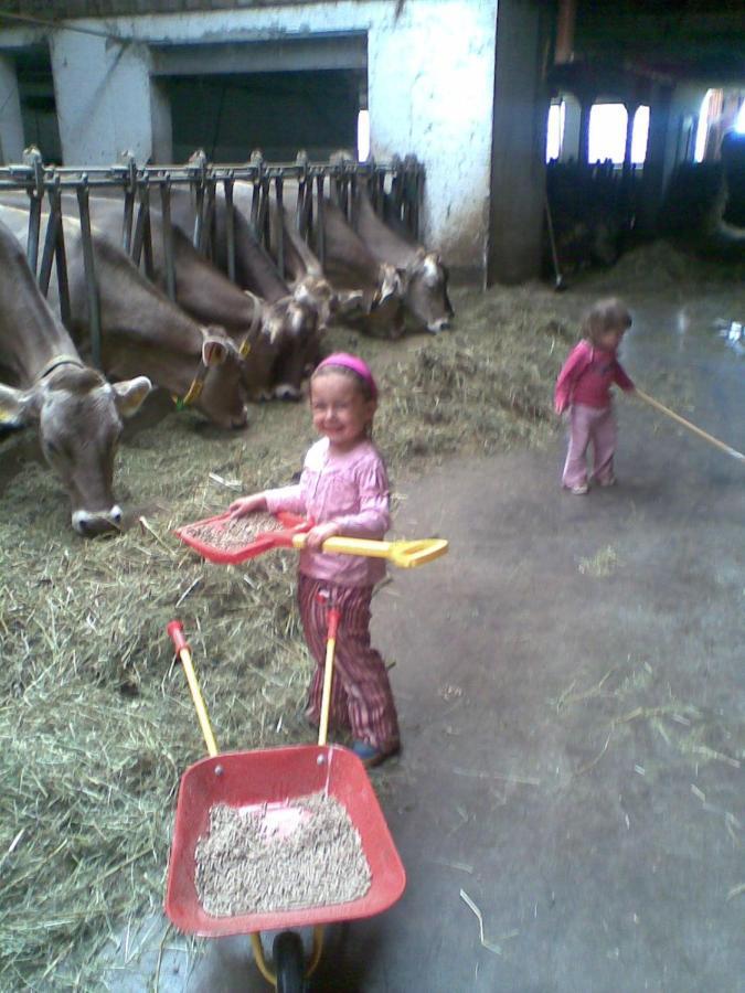홀츠가우 Haus Laerchenhof 빌라 외부 사진